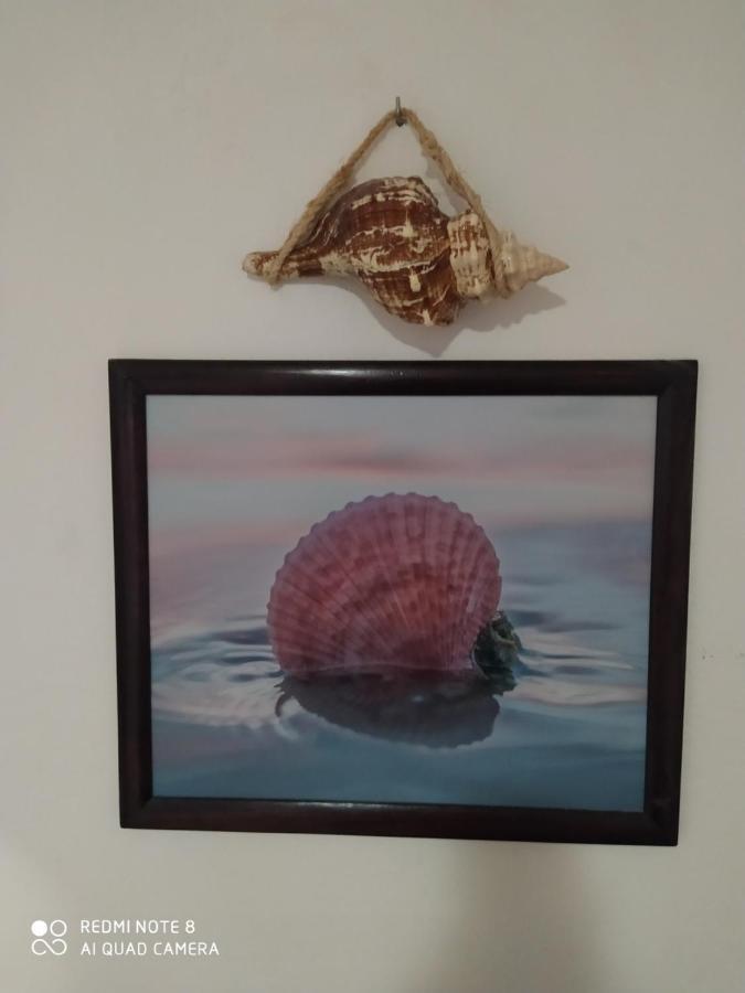 Casa Ohana-Disfruta Del Paraiso Isla Holbox Kültér fotó