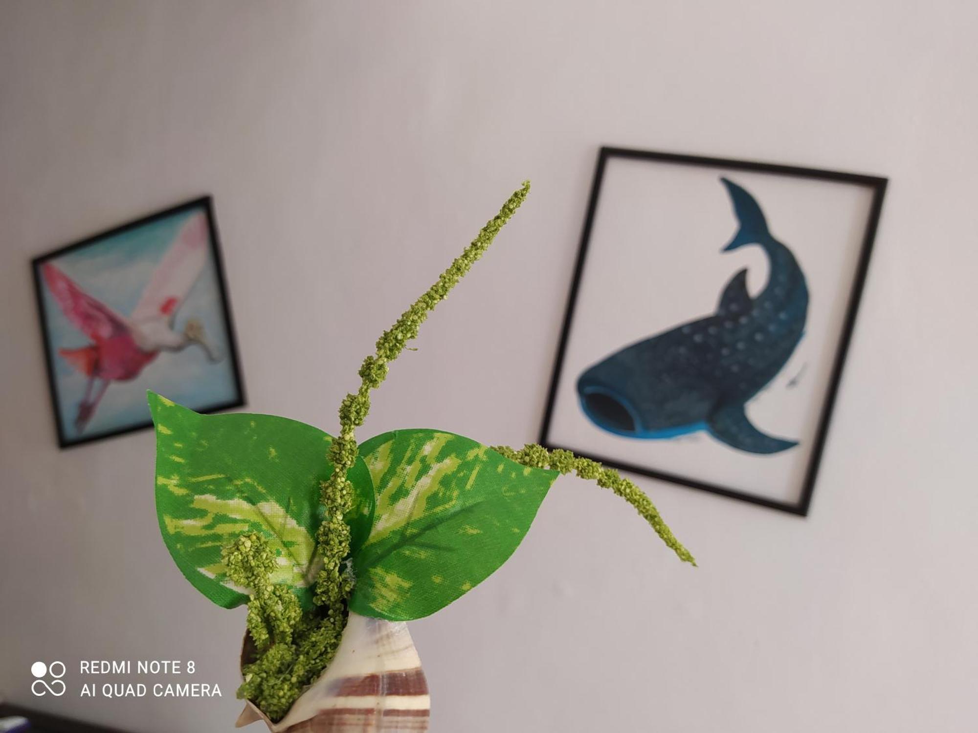 Casa Ohana-Disfruta Del Paraiso Isla Holbox Kültér fotó