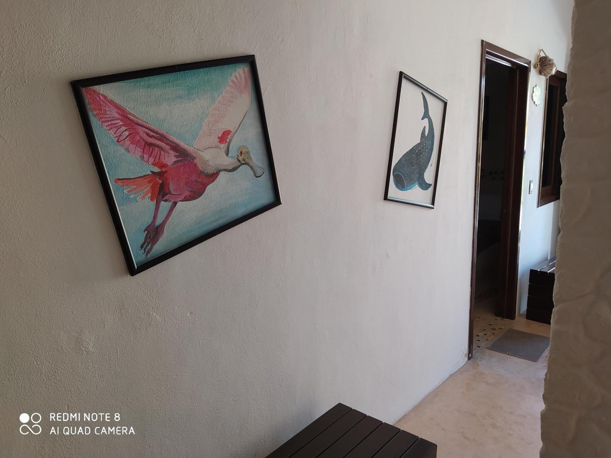 Casa Ohana-Disfruta Del Paraiso Isla Holbox Szoba fotó